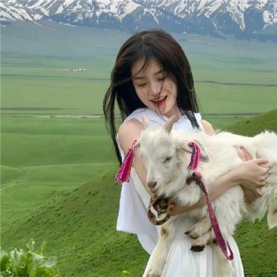 恐惧的总和 封面